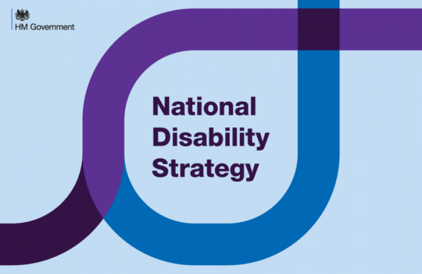 national disability strategy James Wild mp
