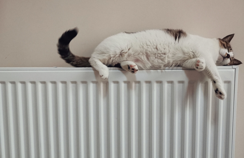 heating bills winter support uk James Wild mp
